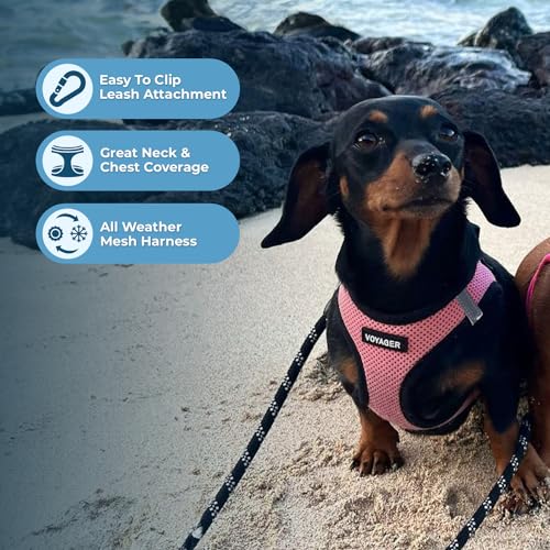 Best Pet Supplies Voyager Step-in Air All Weather Mesh Harness and Reflective Dog 5ft Leash Combo with Neoprene Handle, for Small, Medium and Large Breed Puppies - Set (Pink/Black Trim), XX-Small - color: Harness Leash Bundle (Pink/Black Trim), size: XXS