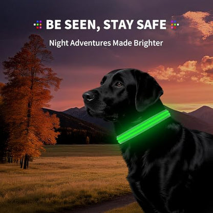 Dog Light up Collar for Night Walking - High Visibility LED Dog Collar - Rechargeable - Waterproof - Reflective - Adjustable Lighted Glow Collars(Green, Large) - color: Green, size: Large (18" - 23")