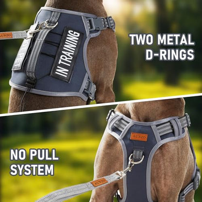 AUNZO Service Dog Vest Harness with 2 Velcro Patches, No Pull Dog Harness for Walking Training Hiking, Metal D-Rings Easy on/Off Neck Buckle Reflective Strips Soft Padded Handle, Gray - color: Gray, size: Medium