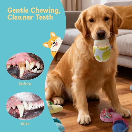 Nocciola 10 Pack Slipper Dog Toys, Squeaky Crinkle Plush Dog Toys for Small Medium Dogs, Interactive Chew Toys for Boredom, Indoor Soft Puppy Toy Set - style: Novelty