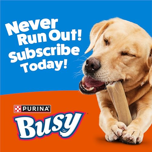 Purina Busy Bone Adult Toy Breed Dog Chew Bone Treats, Tiny - 30 ct. Pouch - size: 30 Count (Pack of 4)
