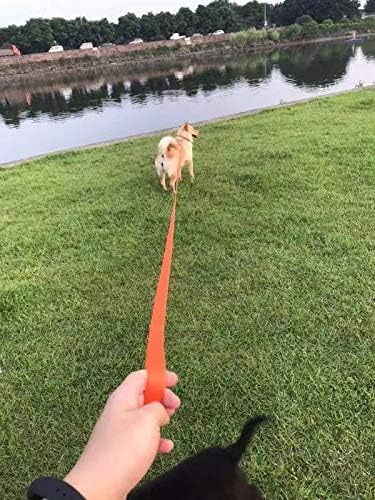 AMAGOOD Dog/Puppy Obedience Recall Training Agility Lead-15 ft 20 ft 30 ft 50 ft Long Leash-for Dog Training,Tie Out,Play,Safety,Camping (50Feet x 1Inch, Blue) - color: Blue, size: 1" x 50ft