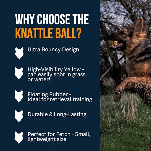Fenrir - Dog Ball - High Bouncing Yellow Rubber for Fetch & Recall - 2.5 Inch Durable Floating Dog Toy - Water Retrievable Interactive Ball for All Breeds (Medium) - size: 2.5 inches