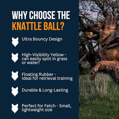 Fenrir - Dog Ball - High Bouncing Yellow Rubber for Fetch & Recall - 2.5 Inch Durable Floating Dog Toy - Water Retrievable Interactive Ball for All Breeds (Medium) - size: 2.5 inches
