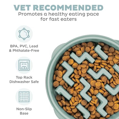 Outward Hound Medium Slow Feeder Bowl, Puzzle Maze for Fast Eaters, Small to Medium Dogs, Helps Prevent Bloat & Aid Digestion, Holds 2 Cups Wet or Dry Food, Non-Slip, Made Without BPA, Sage - size: Medium