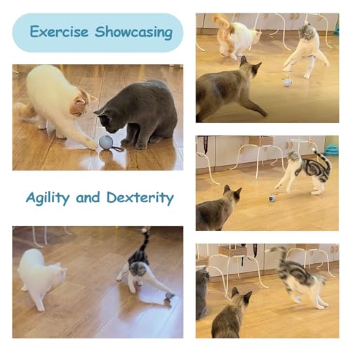 Migipaws Interactive Cat Ball Toy Set, Fun Tracker, Automatic Rolling Chase Ball with Fluffy Tail, A Small Mice, Rechargeable (White) - color: White