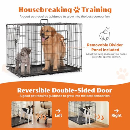 Sweetcrispy 36 Inch Dog Crate, Medium Crates Double Door Folding Metal Wire Dog Cage with Plastic Leak-Proof Pan Tray, Pet Kennel for Indoor, Outdoor, Travel - size: 36.6"L x 22.6"W x 24.2"H, style: Double Door