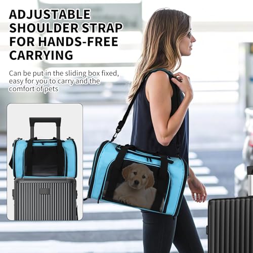 Carriers Soft-Sided Pet Carrier Large Carrier for Medium Large Cats Dogs Under 35Lbs,Breathable Ventilated Design,Collapsible Roomy Carrier with Airline Approved(X-Large,Blue) - color: blue, size: 20.0"L x 13.0"W x 13.0"H