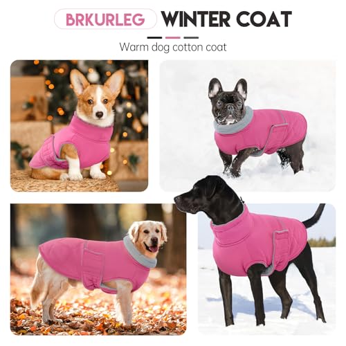 BRKURLEG Dog Winter Jacket, Warm Dog Winter Coats for Small and Medium Large Dogs, Reflective Adjustable Pet Cold Weather Coats, Waterproof Dogs Snow Jacket Clothes Fleece Vest (XS, Rose Red) - color: Rose Red, size: X-Small