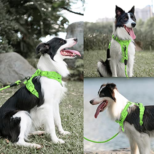 PoyPet No Pull Dog Harness and 5 Feet Leash Set, Release on Neck Reflective Adjustable Pet Vest, Front & Back 2 D-Ring and Soft Padded Pet Harness with Handle for Small to Large Dogs(Green,M) - color: Green, size: Medium