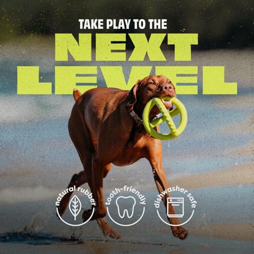 Benebone Natural Rubber Tug Interactive Dog Toy, Natural Rubber - size: 1 Pack, style: Tug