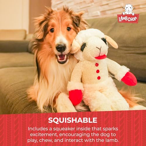 Multipet Lamb Chop Dog Plush Toy - Squeaky Toy for All Dogs - Extra Soft Plush - Stuffed Animal for Cuddling & Playing - Jumbo (24", Cream) - size: 24" Jumbo, style: White
