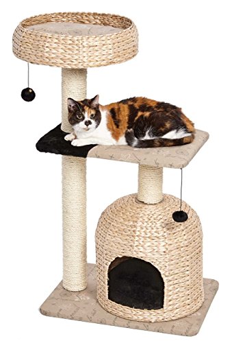 MidWest Homes for Pets Cat Tree | Nest Cat Furniture, 3-Tier Cat Activity Tree w/Sisal Wrapped Support Scratching Posts & Dangle Play Balls, Woven Rattan & Script Medium Cat Tree - size: Nest Woven Rattan/Script