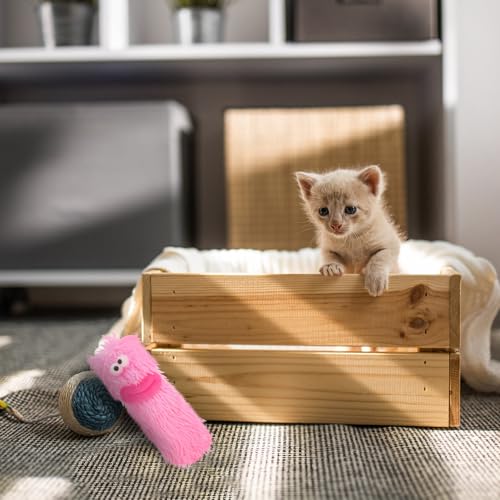 Interactive Catnip Plush Cushion for Kittens Indoor Chew Sturdy Soft Pet Cushion for Cat Teething and Play