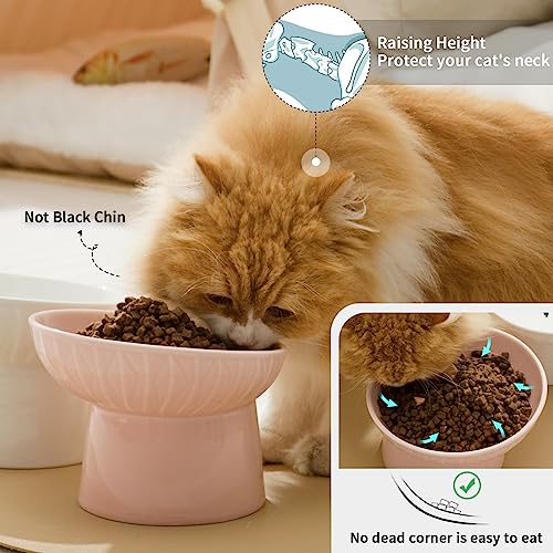 6.5 Inch Extra Wide Ceramic Raised Cat Bowls, Porcelain Tilted Elevated Cat Food Water Bowl Dish, Stress Free Pet Feeder Dishes for Cats & Small Dogs, Whisker Fatigue, White & Pink - color: White & Pink