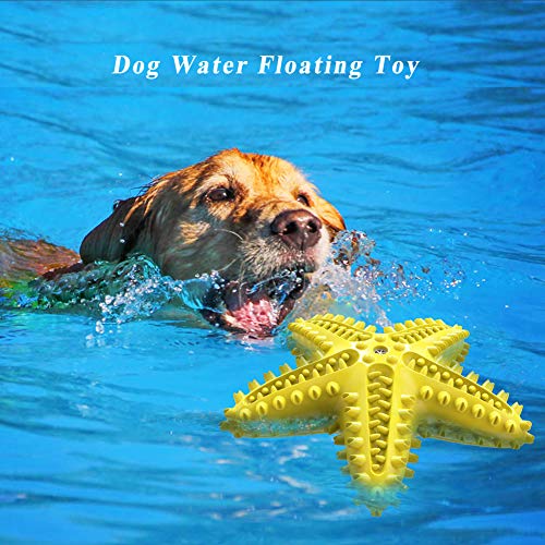 Squeaky Dog Toys - Starfish Natural Teeth Cleaning Toy for Small & Medium Dogs - Yellow - color: Starfish Yellow