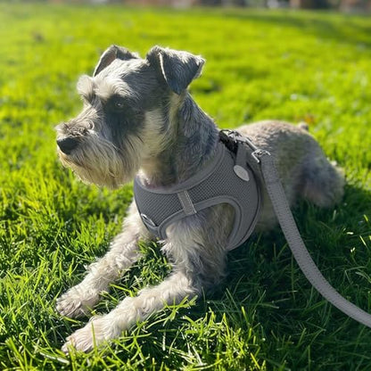 Joytale Small Dog Harness, Breathable Mesh Step-in Vest, Reflective Soft Padded Harnesses for Cats, Puppies and Extra Small Dogs, Gray, XXS - color: Gray, size: XXS--Chest: 12-13.5''