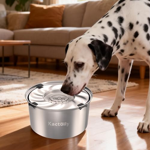kactoily 1.47 Gal Stainless Steel Dog Water Bowl, 24 Cups Large No Spill Dog Bowl with Non-Slip Mats, Splash Proof Slow Water Drinking for Messy Drinkers - color: Grey