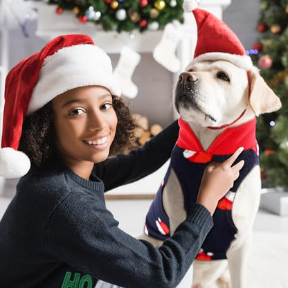 Reginary 10 Pack Large Dog Sweaters Fleece Pet Dog Clothes with Leash Ring Soft Warm Winter Puppy Plaid Shirt(Bright) - size: Large,8.8-12.1 lb, style: Bright