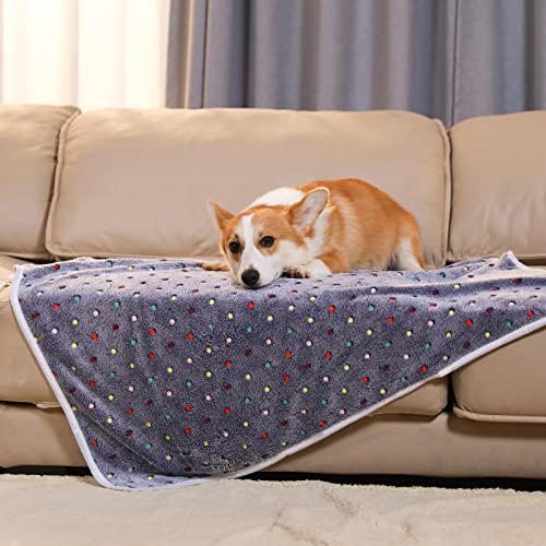 Luciphia 1 Pack 3 Blankets Super Soft Cute Dot Pattern Pet Blanket Flannel Throw for Dog Puppy Cat Medium(30x20), Grey - color: Grey2, size: 30x20 inch (Pack of 3)