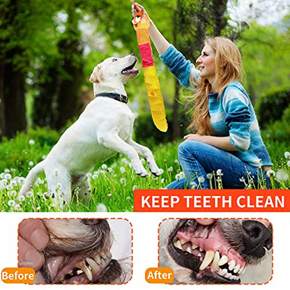 lilfrd Dog Enrichment Toys - Dog Puzzles Squeaky Treat Dispensing Crinkle Plush Snuffle Toys - Treat Toy for Small Medium Large Breed Puppy, Snail - style: Snail