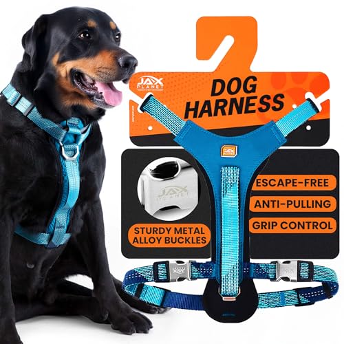 No-Pull Dog Harness with Handle - Escape Proof, Anti-Pulling, Grip Control, Multi-Angle Reflective for Safe Walks & Training, Easy On & Off, Metal Buckle–Pet Harness, Medium/Large Dogs- L-Blue - color: Blue, size: L:Neck19.7"~27.6",Chest24.8"-33.5"