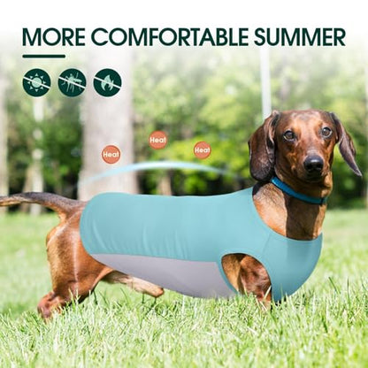 Kuoser Dog Cooling Vest, Sun Protection Puppy T-Shirts, Quick Dry Dog Summer Clothes for Medium Dogs Boy Girl Blue L - color: Blue, size: L