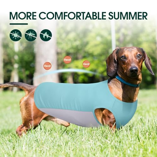 Kuoser Cooling Dog Shirt, Sun Protection Puppy T-Shirts Breathable Pet Summer Vest, Quick Dry Dog Summer Clothes for Large Dogs Boy Girl Blue XL - color: Blue, size: XL