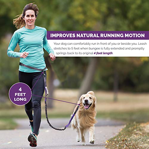 Tuff Mutt Hands-Free Waist Leash for Dog Walking, Running and Hiking, Adjustable Belt with Double Handle, Reflective Bungee Design for Large & Medium Dogs - color: gray/teal