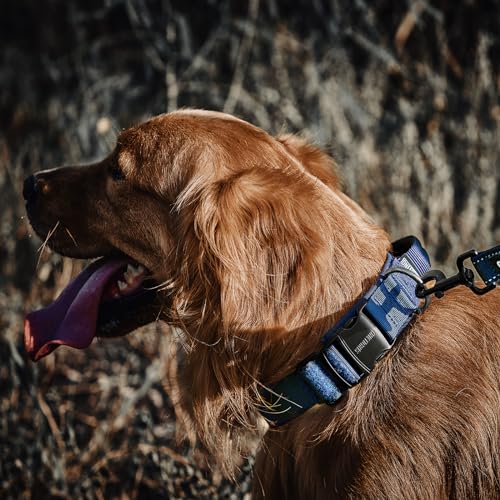 OneTigris Tough Dog Collars, Tactical Dog Collar with Handle, Milltary Adjustable Dog Collar with Heavy Duty Metal Buckle for Training (Medium,Blue) - color: Blue, size: Medium