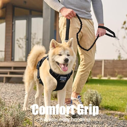 BUMBIN 6Ft Bungee Leash With 2 Handles for Large, Medium, Small Dogs - Heavy Duty, No Pull Shock Absorbing With Car Seat Belt for Training, Black - color: Black