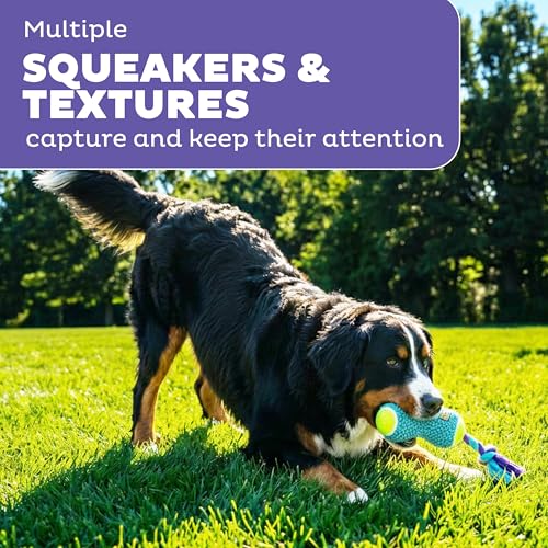 Outward Hound FlyFetch Rope Tug Dog Toy, Plush Body with Squeakers, Multiple Textures, Floats in Water, All Breeds, 11"