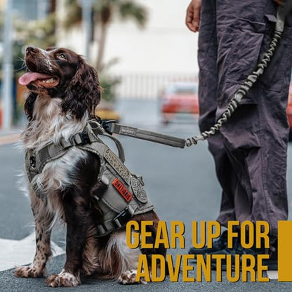 OneTigris Tactical Dog Training Leash Bungee Leash with 2 Control Handle Quick Release Nylon Leads Rope(Grey) - color: Grey