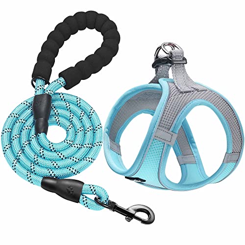 haapaw Dog Harness with Leash Set, No Pull Adjustable Reflective Step-in Puppy Harness with Thickened Padded Vest for Extra-Small/Small Medium Dogs - color: Grey / Blue, size: S