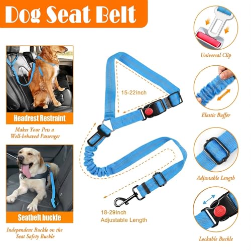 LOBEVE No Pull Dog Harness, Collar & Leash Set | Includes Dog Seat Belt, Collapsible Bowls & Poop Bag Dispenser. Ideal for Training, Walking, Hiking. Fits Small to Large Dogs(Blue-S) - color: Blue, size: Small