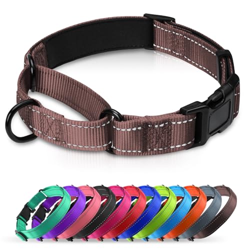 Martingale Collar for Dogs with Quick Release Buckle, Reflective Soft Padded & Escape Proof, Adjustable Nylon Dog Collars for Training & Daily Walking (Brown,XS) - color: Brown, size: XS:width 5/8"neck 10.5-12"