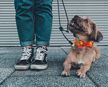 DOGWONG Fall Dog Collar with Bow, Halloween Thanksgiving Dog Bowtie Collar, Adjustable Autumn Cotton Maple Leaf Bowtie Dog Fall Collars for Medium Dogs Pets - color: B, size: XS