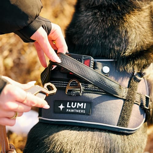 Lumi One LED Dog Harness for Night Visibility and Safety, Patent Pending – High-Visibility Light-Up Dog Vest with 1000 Lumen LED, Rechargeable Battery, Adjustable Fit, Reflective Trim (Black, Large) - color: Black, size: Large