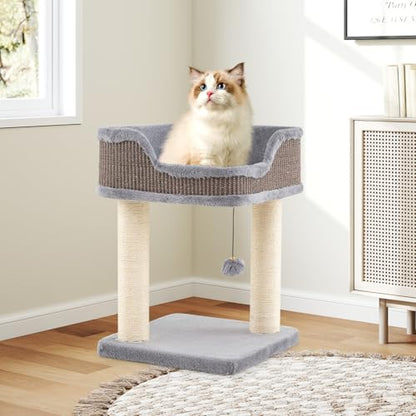 PETSITE 20 inch Small Cat Tree, Modern Cat Tree with Top Soft Upholstered Bed, Sisal Scratching Posts & Mats, and Interactive Dangling Ball, Ideal for Small Indoor Cats and Kittens