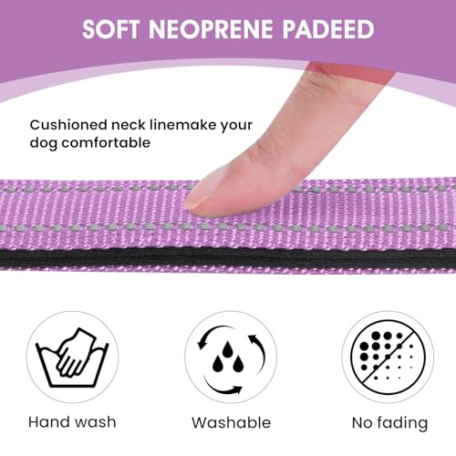 Reflective Dog Collar Padded with Soft Neoprene Breathable Quick Release Basic Dog Collars for Puppy Small Dogs Lavender - color: Lavender, size: XS:width 5/8"neck 8-10.5"