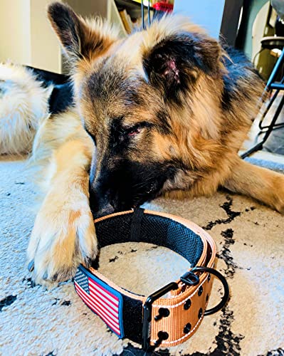Tactical Dog Collar 2 Inch Wide Heavy Duty with Metal 2-Pin Belt Buckle for Medium, Large & XL Dogs, Thick Military-Style K9 Collar, Reflective, with Name Plate Area, USA Flag Patch, Strong & Durable - color: TAN, size: 12-20 inches