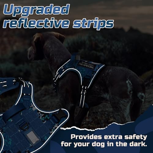 rabbitgoo Tactical Dog Harness Medium Sized Dog, No Pull Military Service Vest with Handle & Molle, Easy Control for Training Walking, Adjustable Reflective Straps, Blue Camo, M - color: Blue Camo, size: Medium