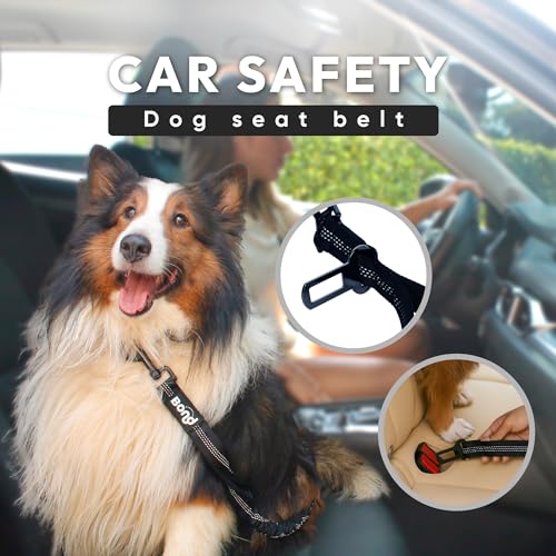 Bond Dog Running Leash Hands Free with Pouch, Hands Free Leash for Large Dogs, Pet Lead Running Belt for Walking & Canicross Belt, Includes Waist Jogging Fanny Pack & Pet Car Seat Belt Safety - color: Black