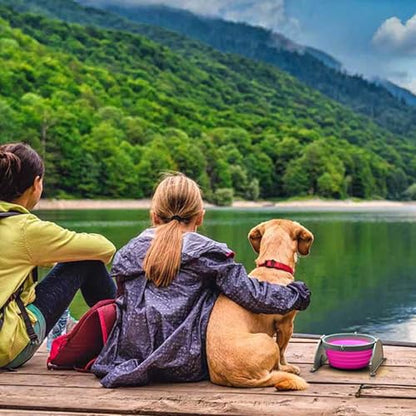 Loving Pets Bella Roma Collapsible Dog Bowls - Silicone Dog Bowls, Foldable Bowl, Puppy Essentials & Hiking Pet Supplies Great for Home & Travel (Pink, Small) - color: Pink, size: Small Travel Bowl
