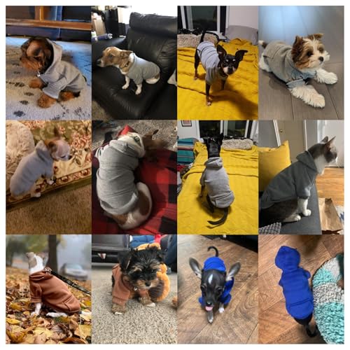 Jecikelon Winter Dog Hoodie Sweatshirts with Pockets Warm Dog Clothes for Small Dogs Chihuahua Coat Clothing Puppy Cat Custume (Grey, X-Small) - color: Grey, size: X-Small