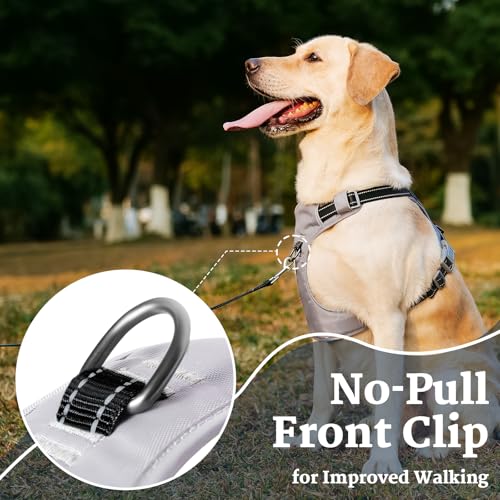 Huntboo No-Pull Dog Harness, Fully Reflective Vest with 2 Leash Clips, No-Choke, Adjustable, Breathable & Durable for Small, Medium & Large Dogs Walking, Training, Running (Black, L) - color: Black, size: Large (Pack of 1)