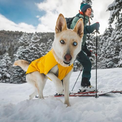 Ruffwear, Vert Dog Winter Jacket, Insulated Waterproof Dog Coat with Harness Leash Portal, Breathable Design with Leg Loops, Windproof Extended Coverage, Reflective Trim, Blue Pool, X-Large - color: Blue Pool, size: X-Large