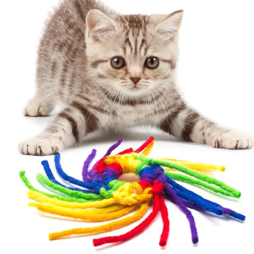 Glaciart One Wool Spider Cat Toy w/Catnip - Soft Fuzzy Enrichment 100% Natural Wool, Interactive Play Cat Toy Set - Safe for Pets, Non-AZO Colored Dyes - color: Spider Ring