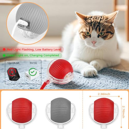 Goosheep 2025 New 2Pack Cat Ball Kitten Toys for Indoor Interactive Kitty Ball Toy Speedy Tail 360° Automatic Rolling for Dog, Cat(Red Grey) - size: 2 Pack