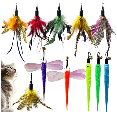 AcceLeah Cat Toy Fishing Pole Attachments Wand Refills, Refills Cat Fishing Pole Toy attachments Dragonfly Worm Refill for Cat Indoor Toy (11Pcs（Feathers+Dragonfly+Worm） - color: 11Pcs（Feathers+Dragonfly+Worm）